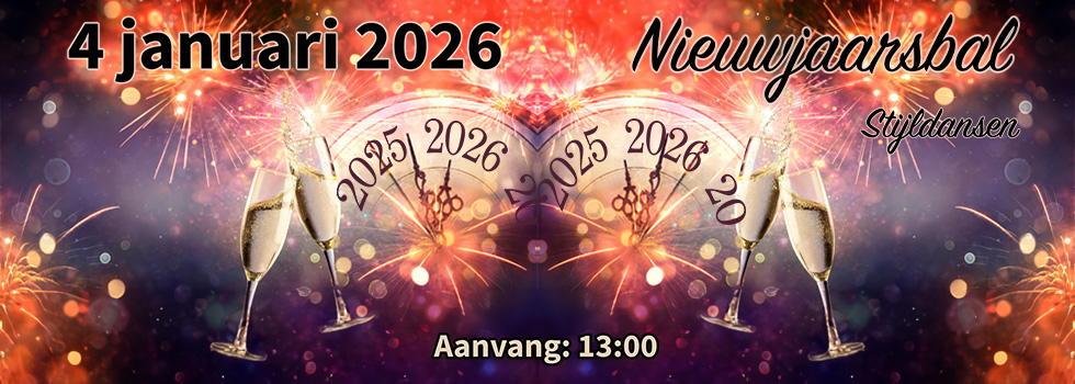 Nieuwjaarsbal